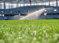 浴火重生,英雄联盟,半决赛,亚博体彩,亚博体彩官网,亚博体彩Yabo官网